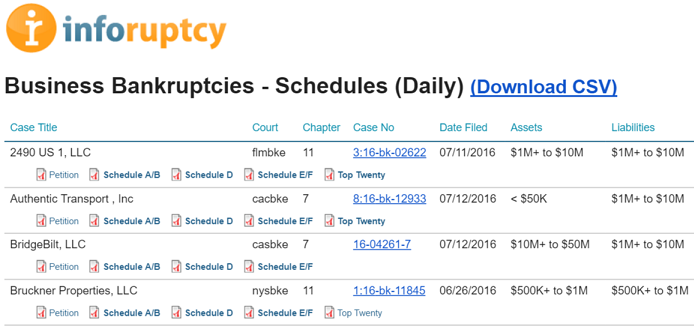 Bankruptcy schedules